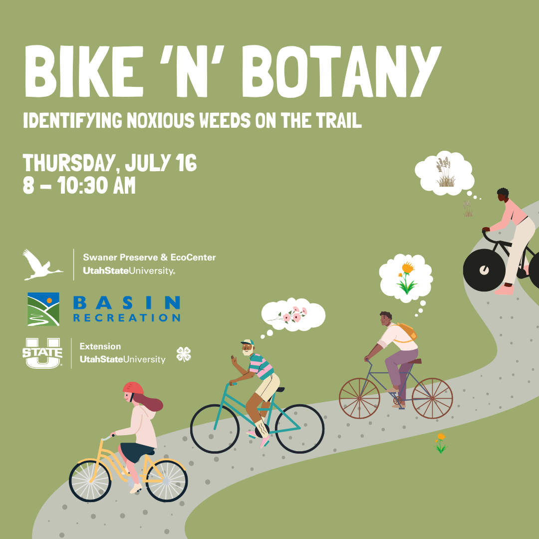 Bike ‘n’ Botany square