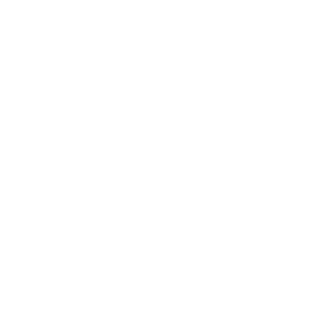 DNR Recreation Logo